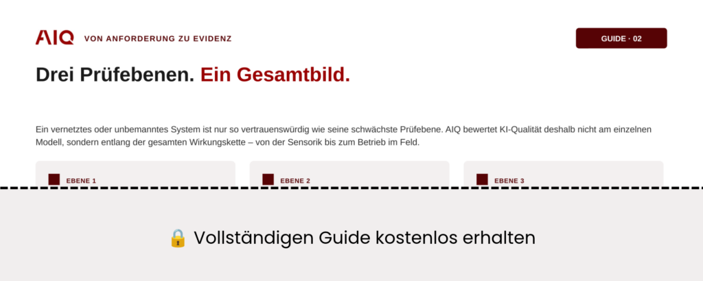 AIQ-DWT-Guide-Seite-3